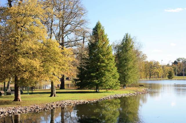 Park 1